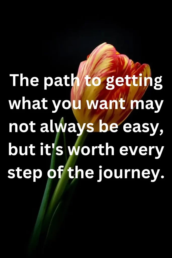 The path to getting what you want may not always be easy, but it's worth every step of the journey. 

